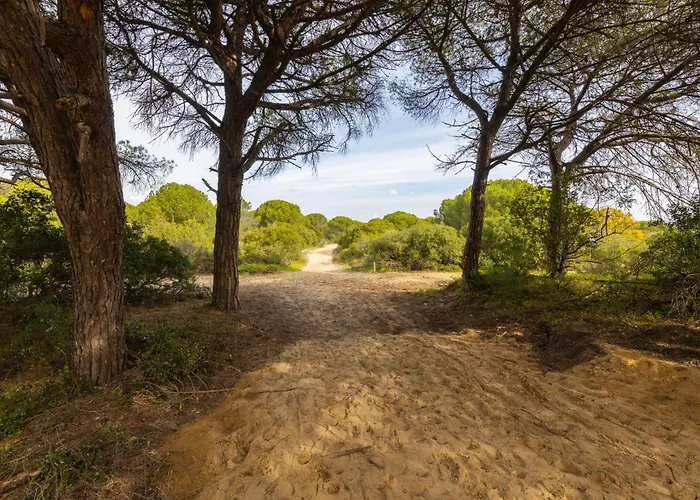 Cozy Retreat Near Lisbon With Sea View Διαμέρισμα Αλμάδα